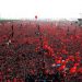 This handout picture released by the Turkey's Presidential Press Service and taken on August 7, 2016 shows people waving Turkish national flags as they gather on at Kizilay Democracy Square in Ankara during a rally against failed military coup on July 15. Hundreds of thousands of people gathered in Istanbul today for a pro-democracy rally organised by the ruling party, bringing to an end three weeks of demonstrations in support of President Recep Tayyip Erdogan after last month's failed coup. / AFP PHOTO / TURKEY'S PRESIDENTIAL PRESS SERVICE AND AFP PHOTO / YASIN BULBUL / RESTRICTED TO EDITORIAL USE - MANDATORY CREDIT "AFP PHOTO / TURKEY'S PRESIDENTIAL PRESS SERVICE / YASIN BULBUL" - NO MARKETING - NO ADVERTISING CAMPAIGNS - DISTRIBUTED AS A SERVICE TO CLIENTS YASIN BULBUL/AFP/Getty Images