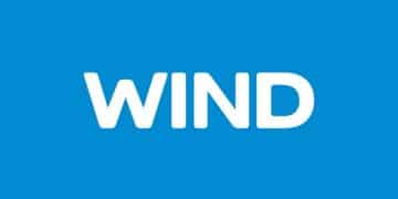 Wind logo