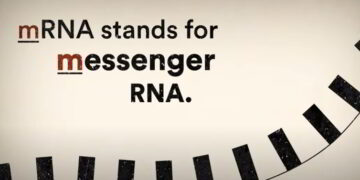 Τεχνολογία mRNA