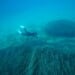 Posidonia Seagrass Meadows ©Vasilis Mentogiannis.jpg