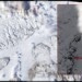 Copernicus: Ρεκόρ θερμοκρασίας Απριλίου στην καναδική Αρκτική