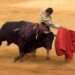 Bull, ταύρος