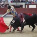 Bull, ταύρος, ταυρομαχίες