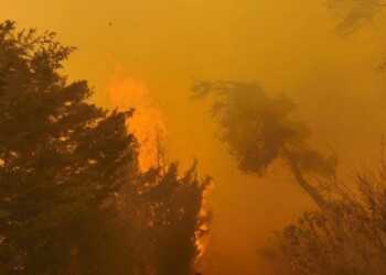 Διόνυσος φωτιά
