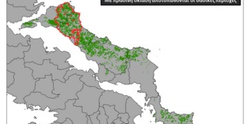 Το ένα τρίτο των δασών της Εύβοιας καταστράφηκε από την πρόσφατη πυρκαγιά σύμφωνα με ανάλυση του Εθνικού Αστεροσκοπείου Αθηνών/meteo.gr.