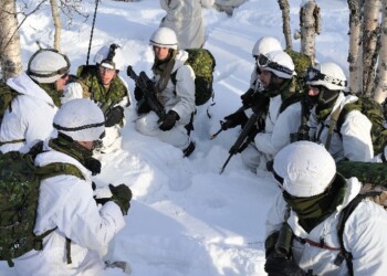 Cold Response