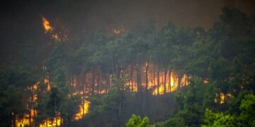 Η Ρόδος καίγεται! Χάος με Πυροσβεστική - Πολιτική Προστασία - Κίνδυνος για τον Τουρισμό