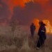 Για τρίτη μέρα μαίνεται ανεξέλεγκτη η φωτιά στην Αλεξανδρούπολη καίγοντας σπίτια σε αρκετούς οικισμούς, με δεκάδες νεκρά ζώα