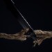 Horizontal shot of stretched cord is cut with a knife on a dark background. The rope is about to break. The concept of the danger of rupture.