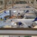 Aegean: Η επένδυση των 150 εκατ. ξεδιπλώνεται και παράγει υπεραξία