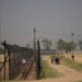 An Indian farmer carries harvested cattle feed on a horse cart near fencing at the India-Pakistan international border in Ranbir Singh Pora, outskirts of Jammu, India, Monday, April 28, 2025. (AP Photo/Channi Anand)