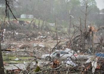 Storm damaged homes and broken trees are seen Thursday, April 3, 2025, in Selmer, Tenn. (AP Photo/George Walker IV)
