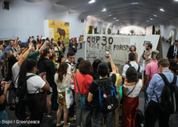 Brazilian artivist Mundano delivered, in partnership with Greenpeace a striking art installation to demand world leaders take bold action for forests at COP30. Mundano wrote the message “COP30: Rise for Forests” with transparent ink, and used ashes taken from forest fires in the Amazon to reveal the text.
O artista e ativista brasileiro Mundano, em parceria com o Greenpeace, criou uma instalação artística para exigir que líderes mundiais tomem medidas ousadas em prol das florestas na COP30. Mundano escreveu a mensagem “COP30: Levante-se pelas Florestas” com tinta transparente e utilizou cinzas retiradas de incêndios florestais na Amazônia para revelar o texto.