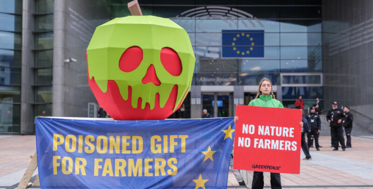 Greenpeace activists installed a giant poisoned apple outside the European Parliament in Brussels, urging politicians in the parliament not to give farmers a poisoned gift by scrapping nature protection rules in the common agricultural policy (CAP). Members of the European Parliament are today deciding whether to rush through a vote on the European Commission’s plan to remove many of the environmental requirements farmers must meet to get EU funds.