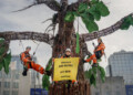 Greenpeace EU, Belgium and Netherlands activists install a nine-metre-tall tree sculpture outside the European Parliament in Brussels, calling on members of the parliament to put nature protection at the heart of the EU’s plans. In the coming weeks, Members of the European Parliament will be grilling the nominees for the roles of new European Commissioners in charge of different EU policies for the next five years.