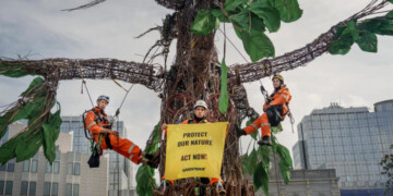 Greenpeace EU, Belgium and Netherlands activists install a nine-metre-tall tree sculpture outside the European Parliament in Brussels, calling on members of the parliament to put nature protection at the heart of the EU’s plans. In the coming weeks, Members of the European Parliament will be grilling the nominees for the roles of new European Commissioners in charge of different EU policies for the next five years.